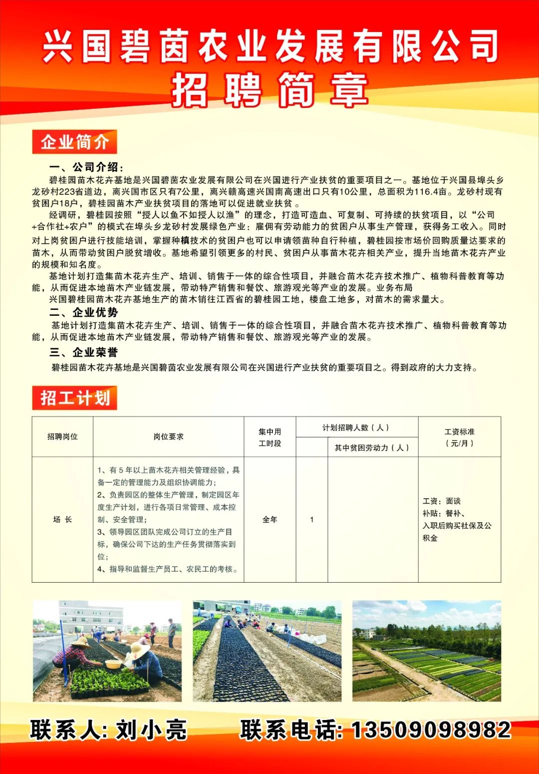 興國(guó)臨時(shí)工招聘信息，科技助力求職新紀(jì)元，輕松找到心儀工作