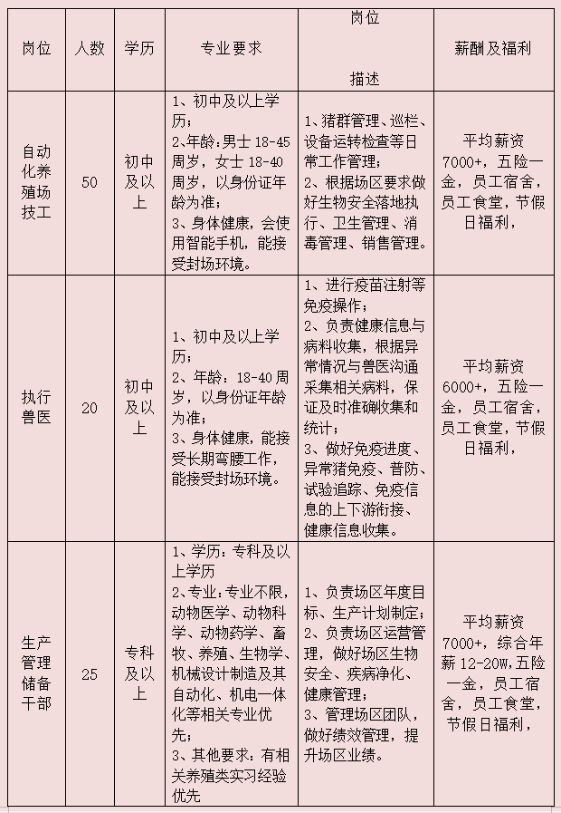 鄧州最新招聘信息解析與觀點闡述，最新崗位一覽