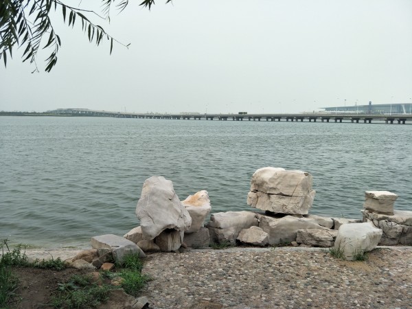 金海湖新區(qū)最新項目啟航，學習成就夢想，共創(chuàng)未來征程